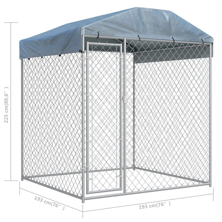 Kennels, Feeding & Care