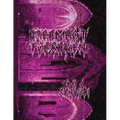 DreamRot {FORSAKEN} - Paperback