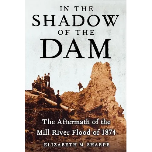 In the Shadow of the Dam: The Aftermath of the Mill River Flood of 1874