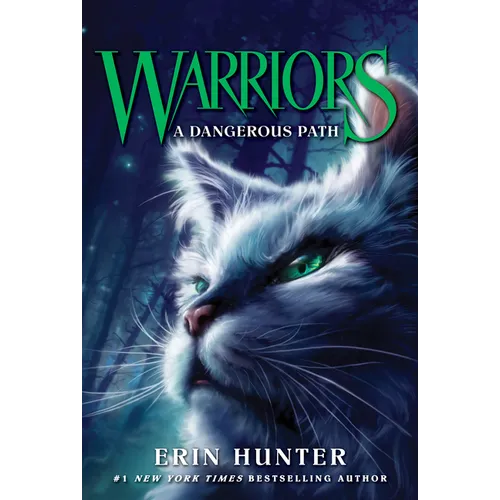 Warriors #5: A Dangerous Path - Paperback