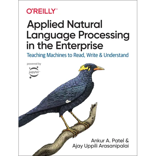 Applied Natural Language Processing in the Enterprise: Teaching Machines to Read, Write, and Understand - Paperback