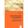 Lattice Formation in Liquefaction - Paperback