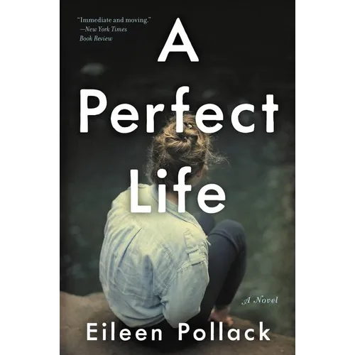 A Perfect Life - Paperback