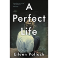A Perfect Life - Paperback