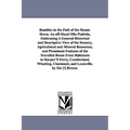 Rambles in the Path of the Steam-Horse. An off-Hand Olla Podrida, Embracing A General Historical and Descriptive View of the Scenery, Agricultural and