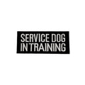 SERVICE DOG IN TRAINING Morale Patch