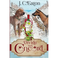 Divide and Concord - Paperback