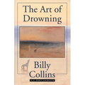 The Art Of Drowning - Paperback