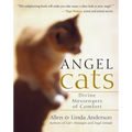 Angel Cats: Divine Messengers of Comfort - Paperback
