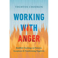 Working with Anger: Buddhist Teachings on Patience, Acceptance, and Transforming Negativity - Paperback