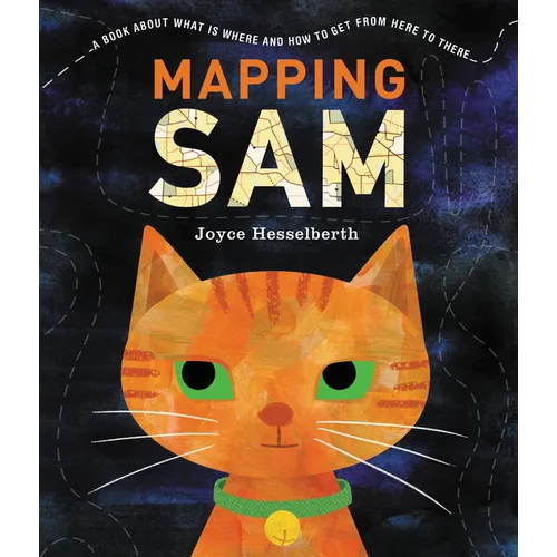 Mapping Sam - Paperback