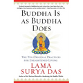 Buddha Is as Buddha Does: The Ten Original Practices for Enlightened Living - Paperback