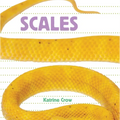 Scales - Board Book