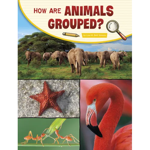 How Are Animals Grouped? - Paperback