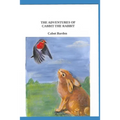 The Adventures of Cabbit The Rabbit - Paperback