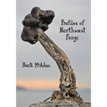 Profiles of Northwest Fungi - Paperback