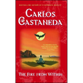 Fire from Within - Paperback
