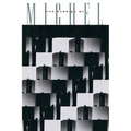 The Passion of Michel Foucault - Paperback