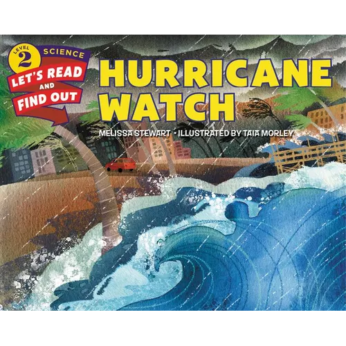 Hurricane Watch - Paperback