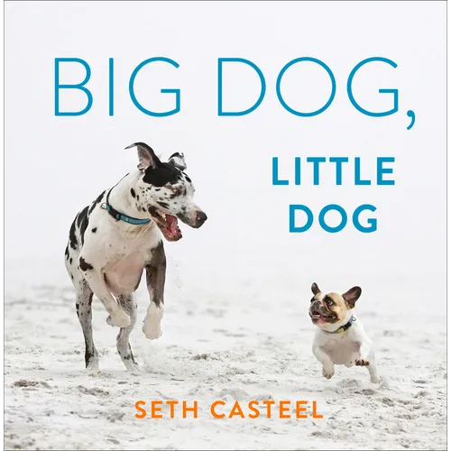 Big Dog, Little Dog - Hardcover