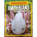Endangered Amphibians Around the World - Paperback