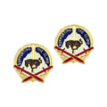 U.S. Army 10th Sustainment Brigade (10th SBTB) Unit Crest (Pair)