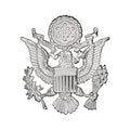 Air Force Officer Male Cap Device STA-BRITE®