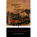 A New-England Tale - Paperback