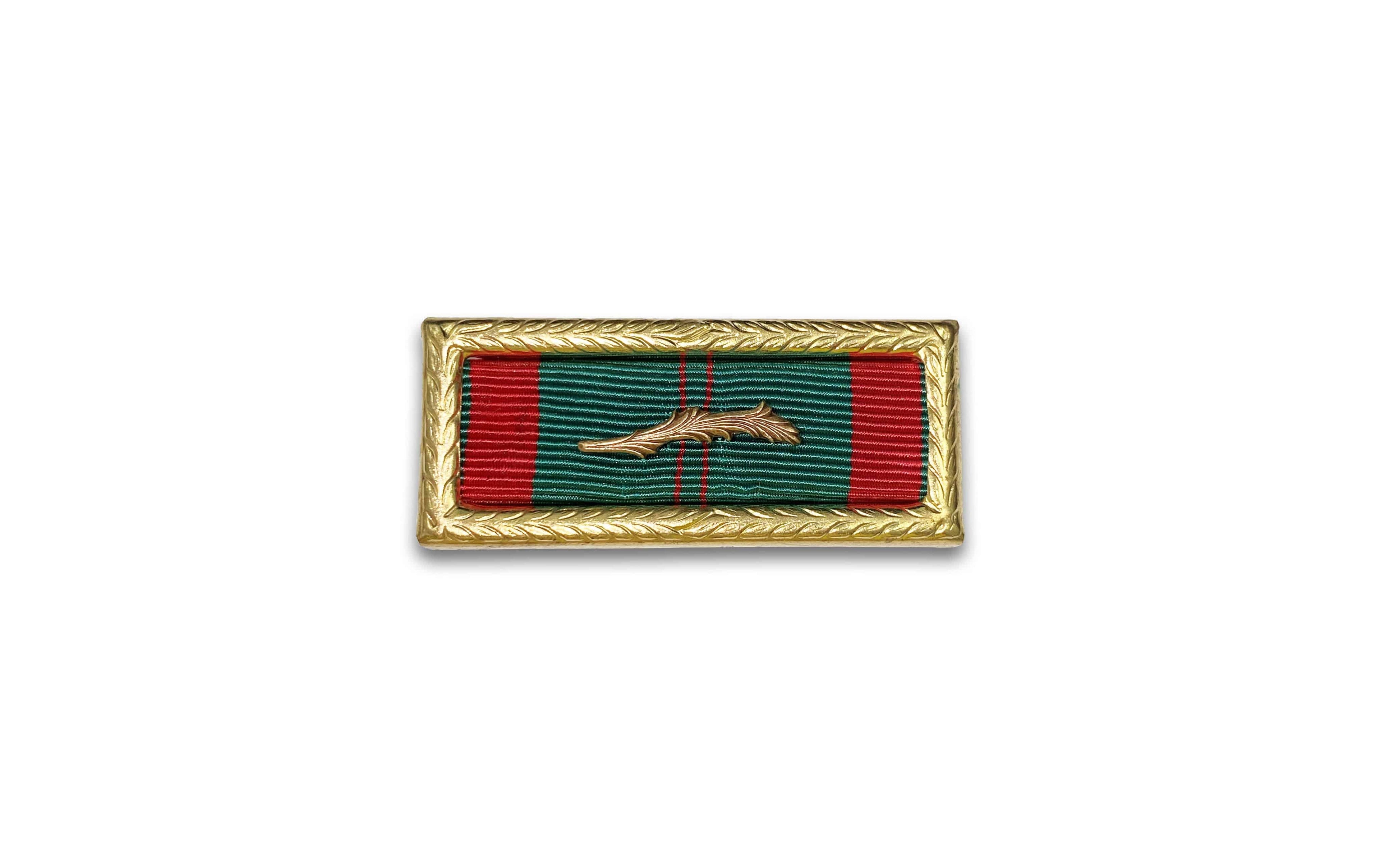 Vietnam Civil Action Unit Citation with Palm