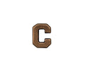 U.S. Army Letter C 1/4in Bronze Ribbon Device