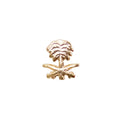 Liberation of Kuwait ribbon device