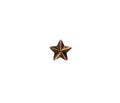 U.S. Army Star 3/16 Single Bronze Ribbon Device