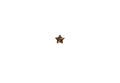 U.S. Army Star 5/16 Single Bronze Ribbon Device