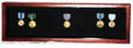 Large Medal Display Case.