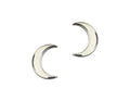 U.S. Army Chaplain Muslim Silver Officer STA-BRITE® (pair)
