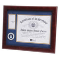 Flags Connections United States Air Force Medal and Award Frame.