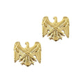 U. S. Army National Guard Officer Army Branch STA-BRITE® (pair)
