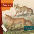 Foxes - Paperback