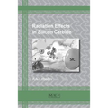 Radiation Effects in Silicon Carbide - Paperback