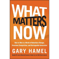 What Matters Now - Hardcover
