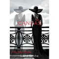 The Canvas: The Big Picture Trilogy - Paperback