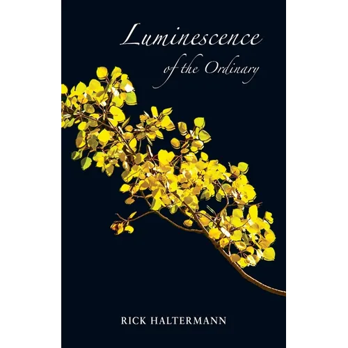 Luminescence of the Ordinary - Paperback