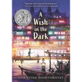 A Wish in the Dark - Paperback