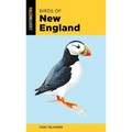 Birds of New England - Paperback