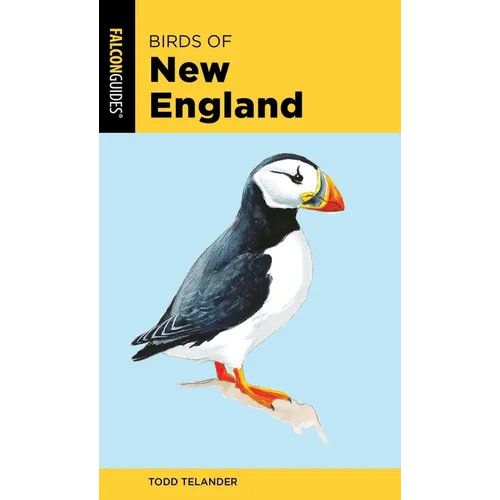 Birds of New England - Paperback