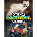 Extremely Beautiful Creatures - Paperback
