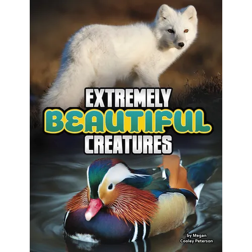 Extremely Beautiful Creatures - Paperback