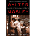 Bad Boy Brawly Brown: An Easy Rawlins Novel - Paperback