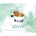 A Baby Named David - Hardcover