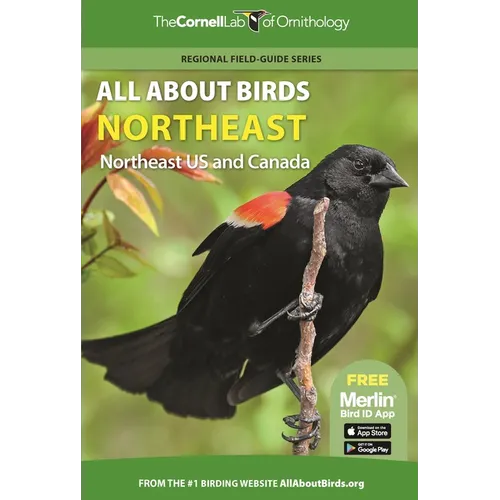 All about Birds Northeast: Northeast Us and Canada - Paperback